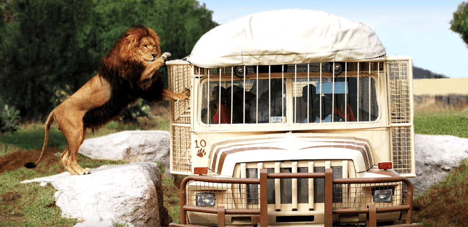 Teotihuacan: Entrance to Animal Kingdom Park; Adventure & Nature Gallery Image 1