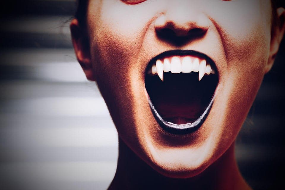 Vampires, Voodoo, and Ghosts Tour Gallery Image 1