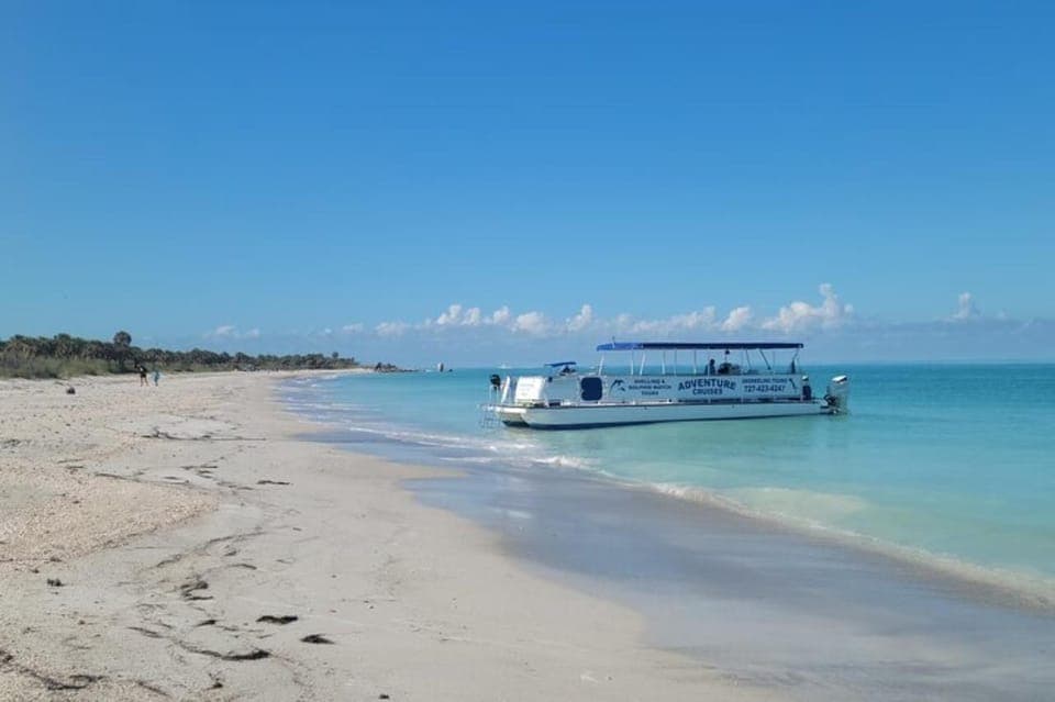 33. From Treasure Island: Dolphin Watching and Shelling Cruise - Image 33