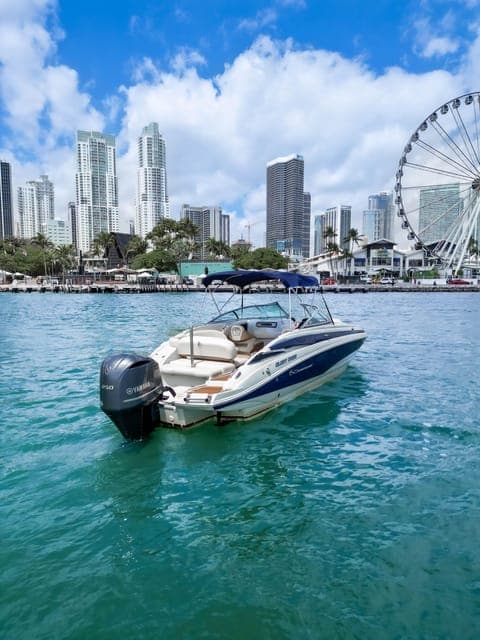 Private Star island, Miami Skyline & Miami River Tour Gallery Image 4
