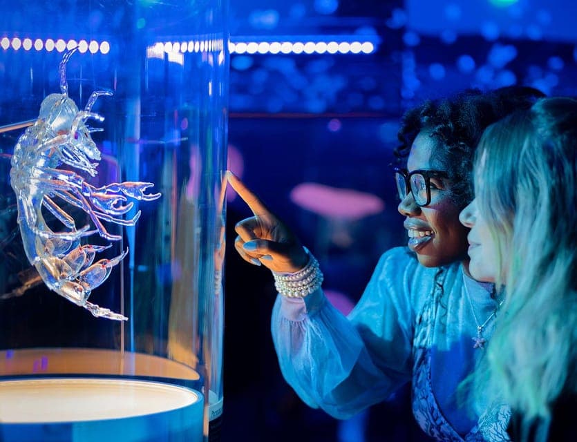 California Academy of Sciences Entry Ticket - Image 1