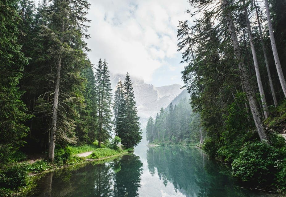 Banff, Yoho, and Jasper 2 Day Private Tour Gallery Image 4