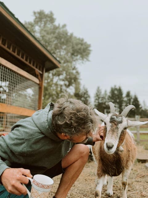 VIP Agritourism Tour of Île d'Orléans & Montmorency Fall Gallery Image 2