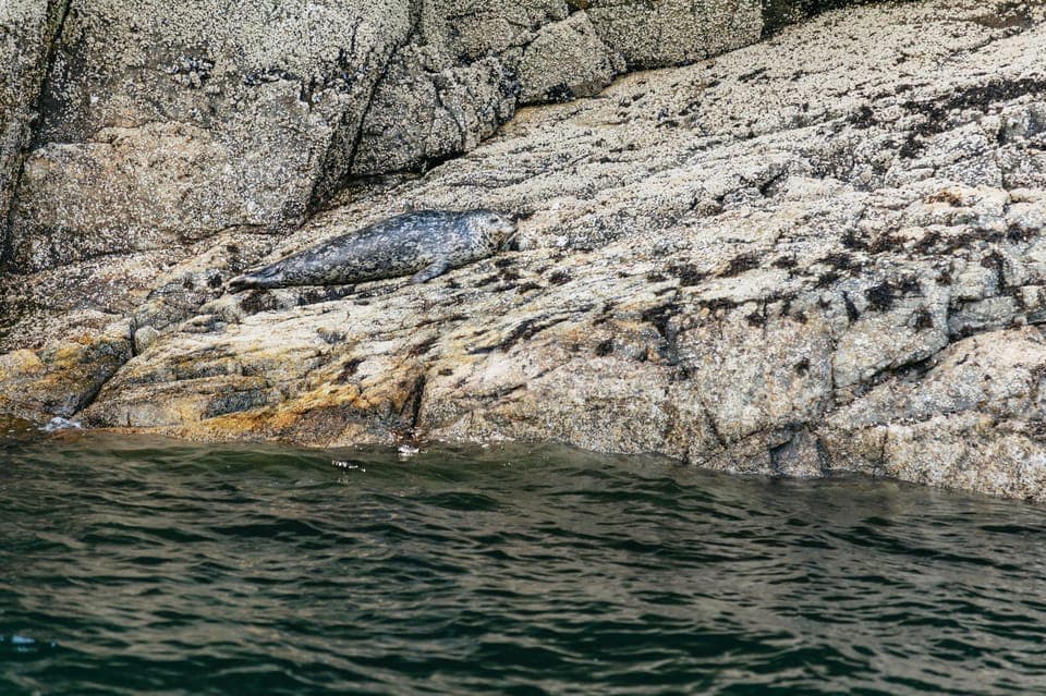 Indian Arm and Granite Falls Zodiac Boat Tour Gallery Image 4