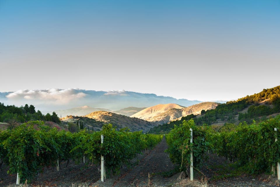 Amador County Wine Tasting Digital Passport Gallery Image 3
