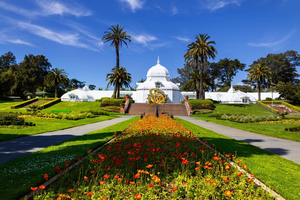 3. Golden Gate Park Tour With California Academy of Sciences - Image 3