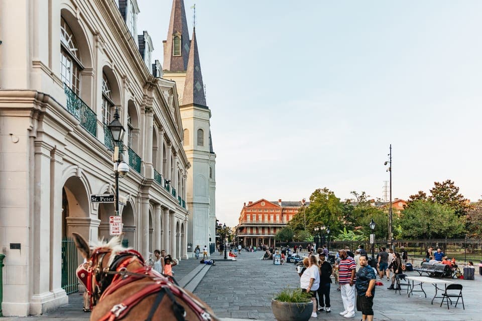 French Quarter Sightseeing Carriage Ride Gallery Image 4