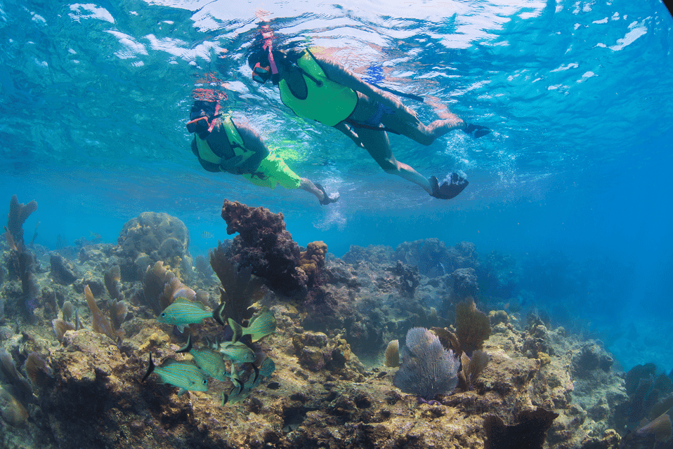 31. Key West Day Trip - Image 31