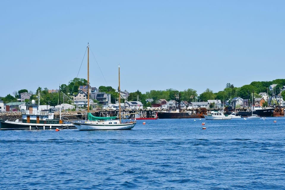 Day Trip From Boston: Kayak Tour through Gloucester Harbor Gallery Image 3