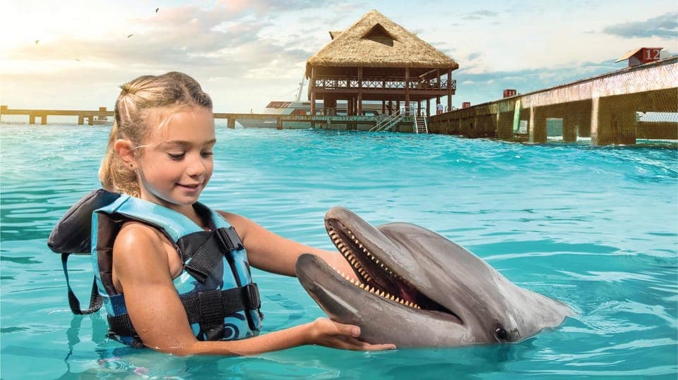 Dolphin Swimming Program on Isla Mujeres with Buffet Gallery Image 4