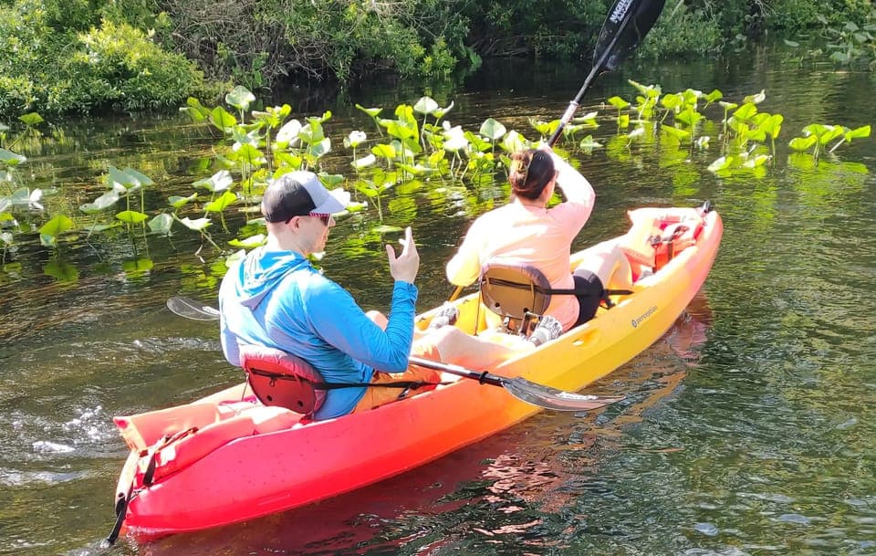 28. Blue Springs Manatee Kayak Tour - Image 28