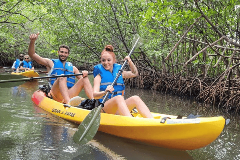 Mangrove Jungle exploration on SUP/Kayak Gallery Image 2