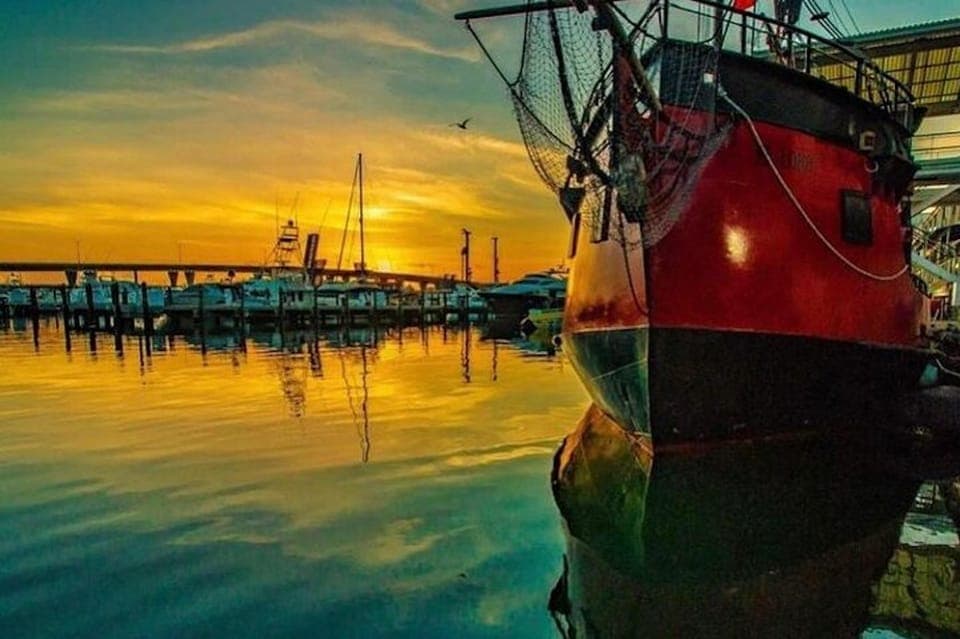 Skyline & Millionaire's Homes Pirate Boat Cruise Gallery Image 3