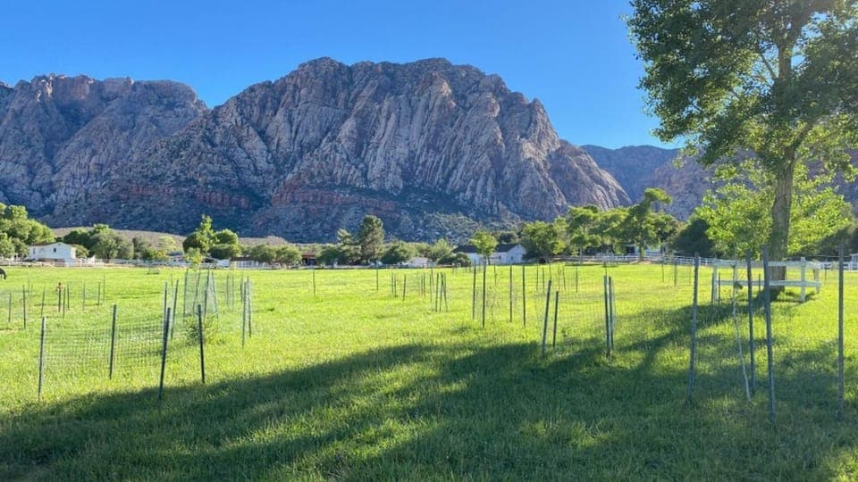 Spring Mountain Ranch Hike and House Visit Gallery Image 4