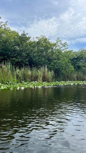 Everglades: on Flat Propelled Boat with Transportation Gallery Image 4