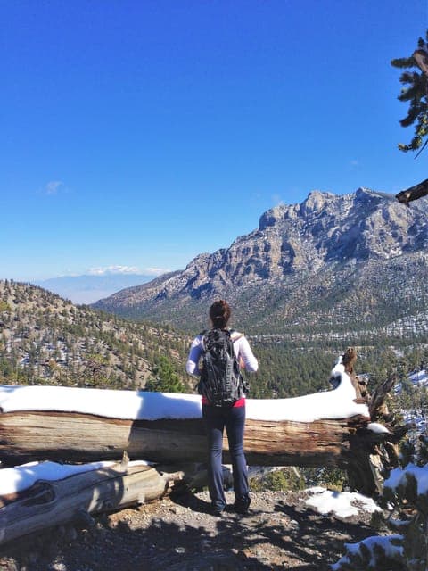 Mount Charleston Driving Adventure: Escape to Nature Gallery Image 3