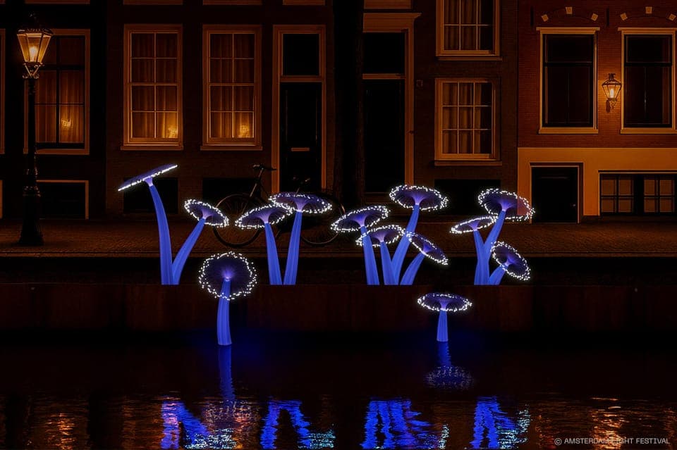 Light Festival Open Boat Cruise Gallery Image 3