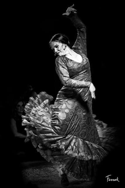 CDMX: Live Flamenco Show and Dinner Gallery Image 3