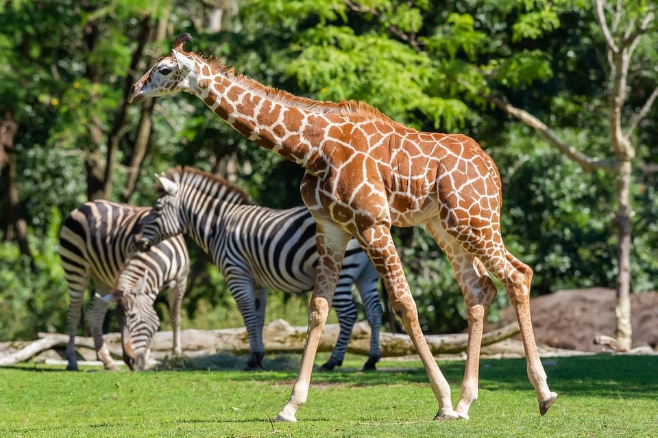 Seattle CityPASS®: Save up to 46% at 5 Top Attractions Gallery Image 2