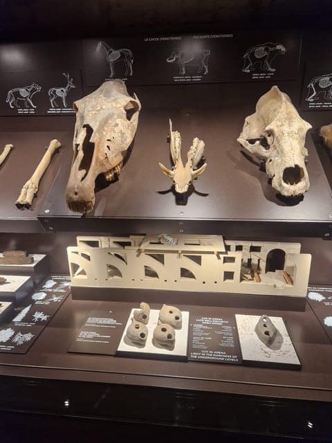 Colosseum Underground and Arena Tour ( MAX 6 people) Gallery Image 2