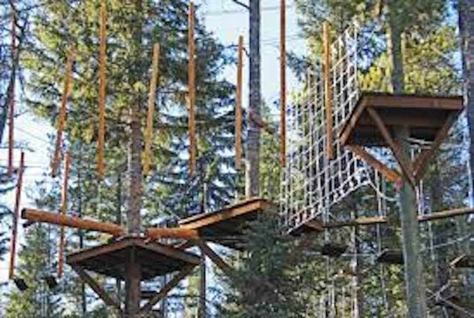 High Ropes Adventure Course Gallery Image 3