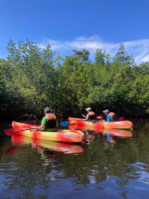 Everglades National Park Hiking and Kayaking Day Trip Gallery Image 4