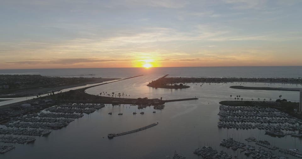 3 Hour Whale Watching Cruise Gallery Image 2