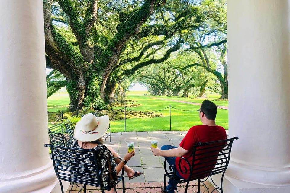 Swamp Boat Ride & Oak Alley Plantation Tour Gallery Image 4