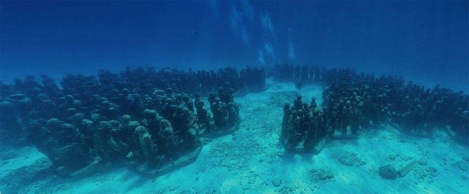 From Cancun: Diver Courses in Cozumel Gallery Image 2