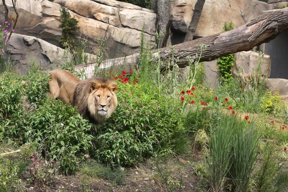 ARTIS: Historical Zoo directly on the old canal Gallery Image 2