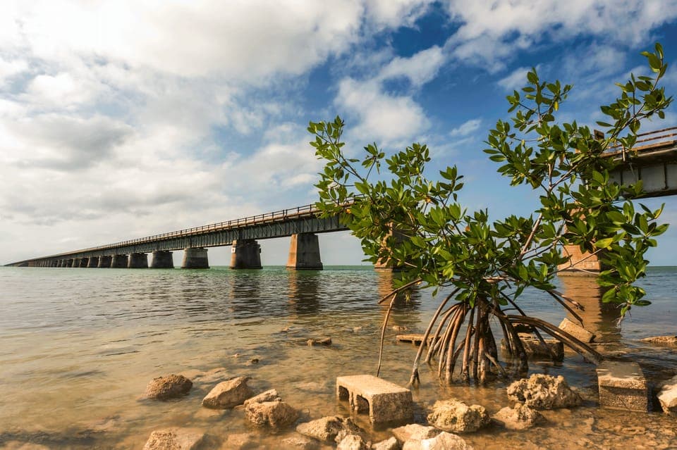 Fort Lauderdale to Key West Day Trip Gallery Image 2