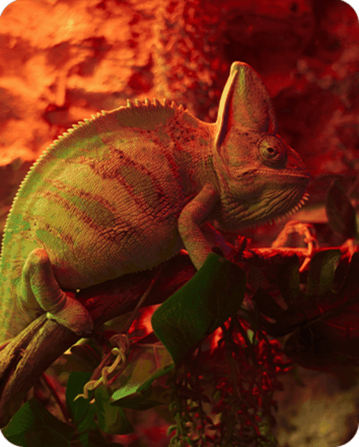 Fast Pass Ticket to Acuarium Inbursa Gallery Image 3