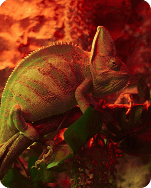 Fast Pass Ticket to Acuarium Inbursa Gallery Image 3