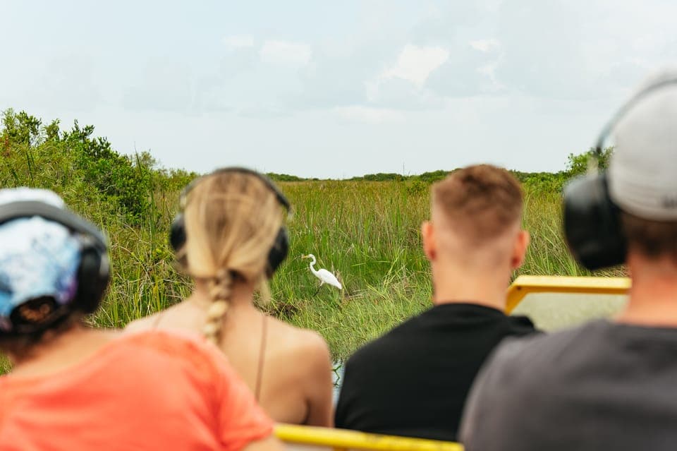 7. From Miami: Everglades Airboat Ride and Nature Walk - Image 7