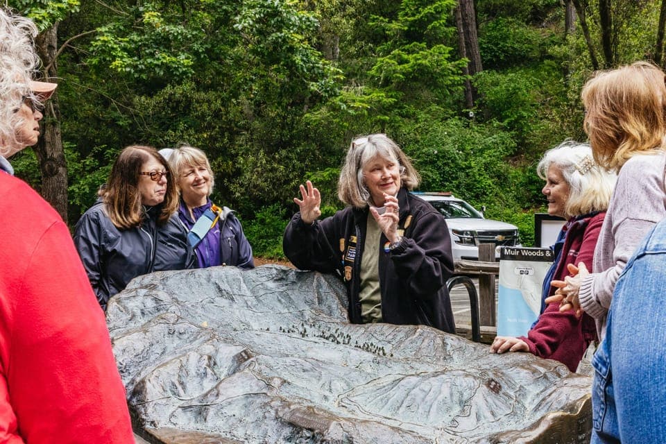 San Francisco Grand City Tour + Muir Woods and Sausalito Gallery Image 1