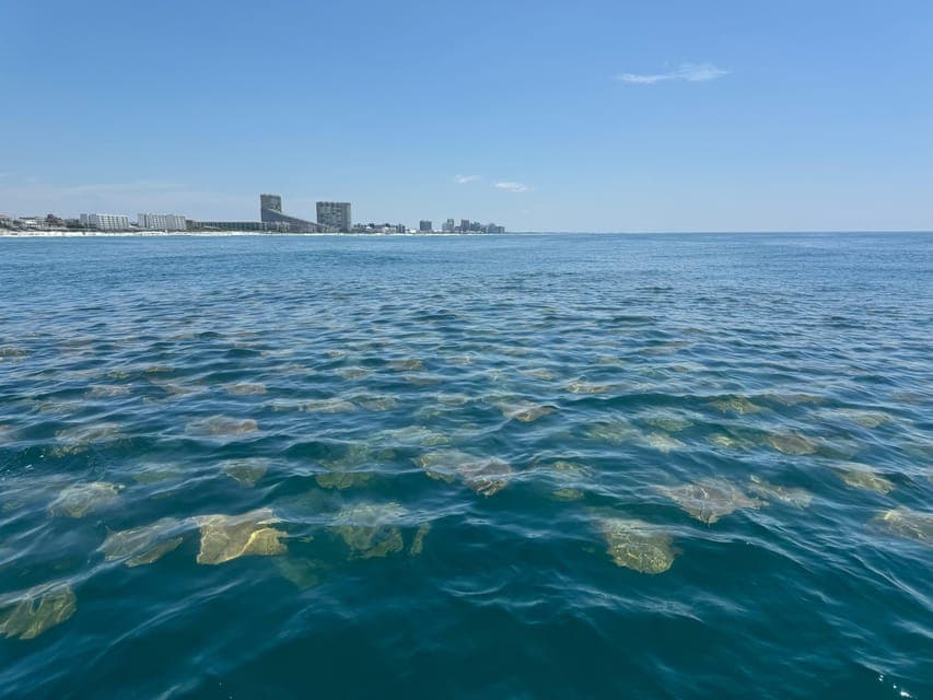 Parasailing on Fort Lauderdale Beach Gallery Image 4