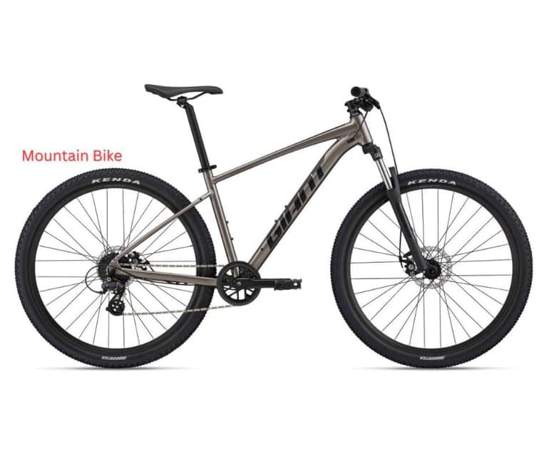 Bike Rental (all types) Gallery Image 4