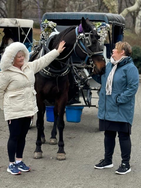New York Private Central Park Horse Carriage Ride with Guide Gallery Image 2