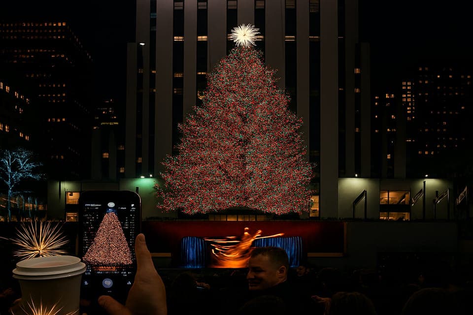 Christmas Lights Horse Carriage Ride Gallery Image 2