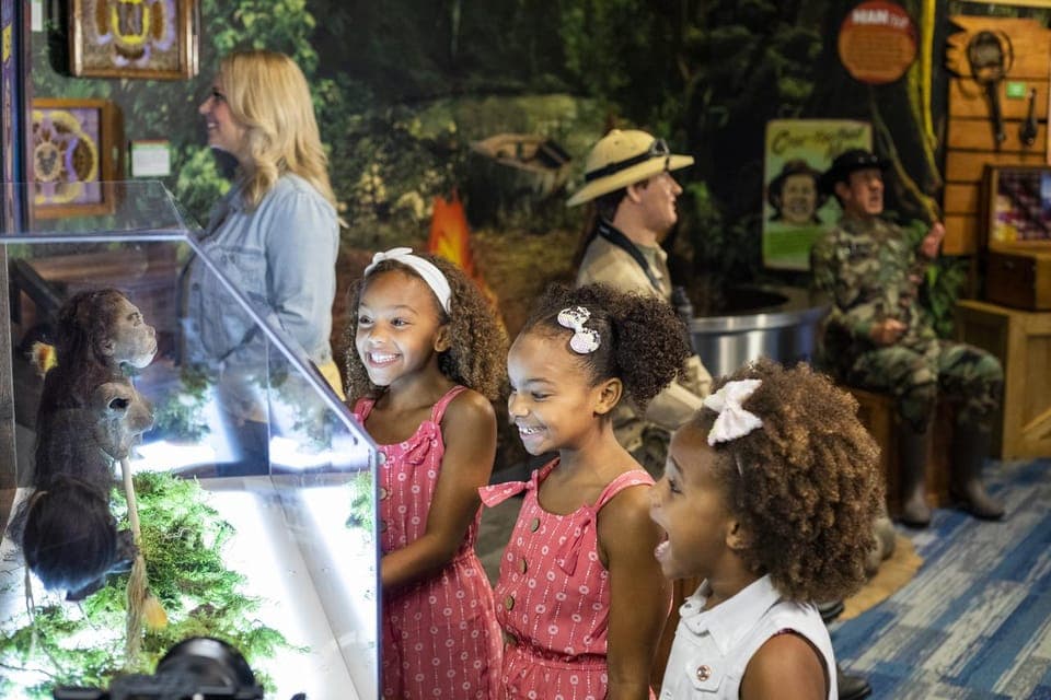 Ripley's Believe It or Not! General Admission Gallery Image 3