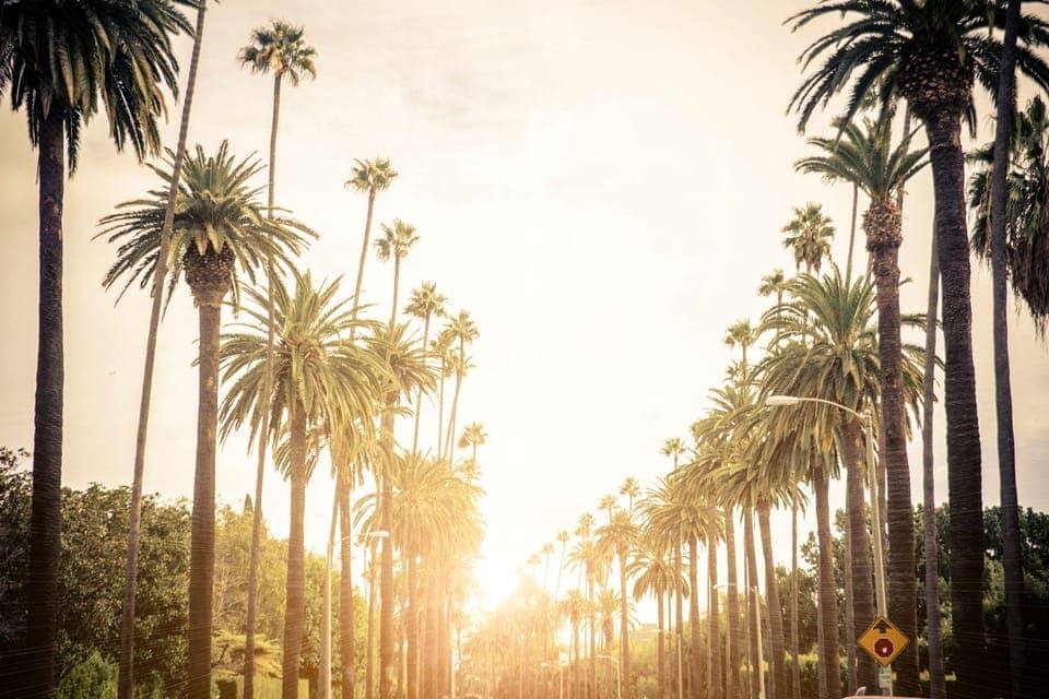 Best of Los Angeles Day Tour with German-Speaking Guide Gallery Image 4