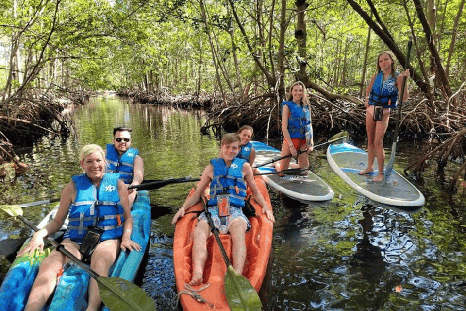 Mangrove Jungle exploration on SUP/Kayak Gallery Image 3