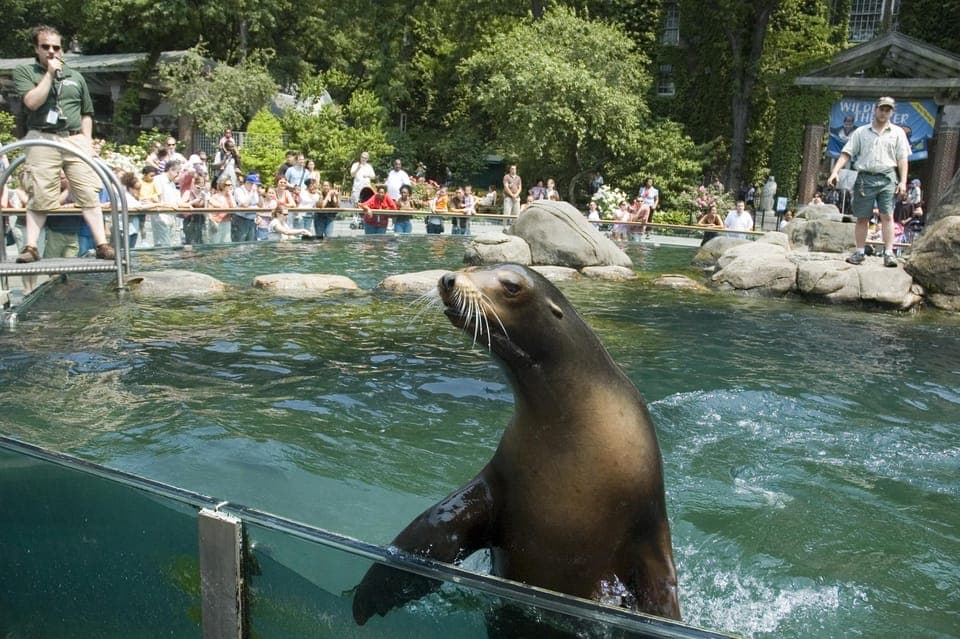 33. Central Park Zoo Entry Ticket & Manhattan Walking Tour - Image 33