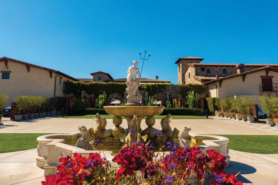 Half-Day Wine Country Tour with Wine Tastings Gallery Image 3