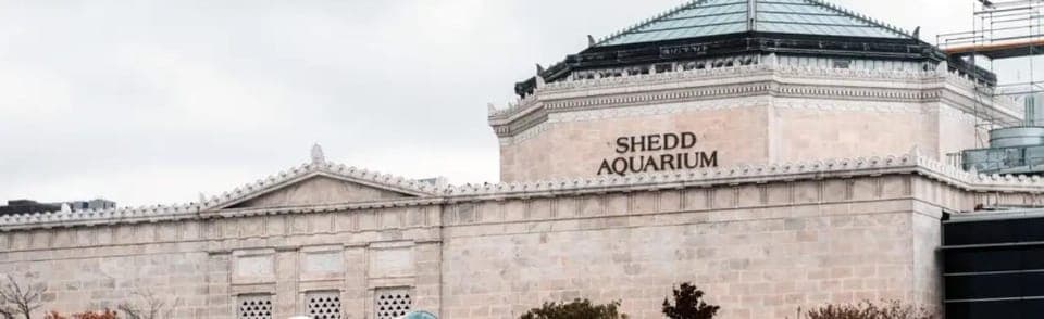 Shoreline All Day Water Taxi Gallery Image 3