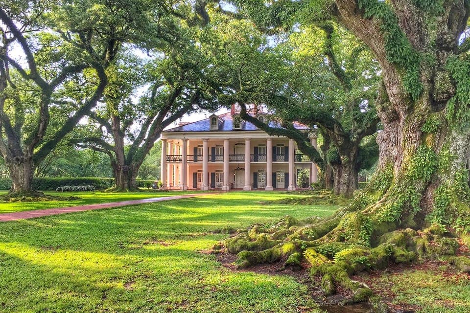 Swamp Boat Ride & Oak Alley Plantation Tour Gallery Image 2