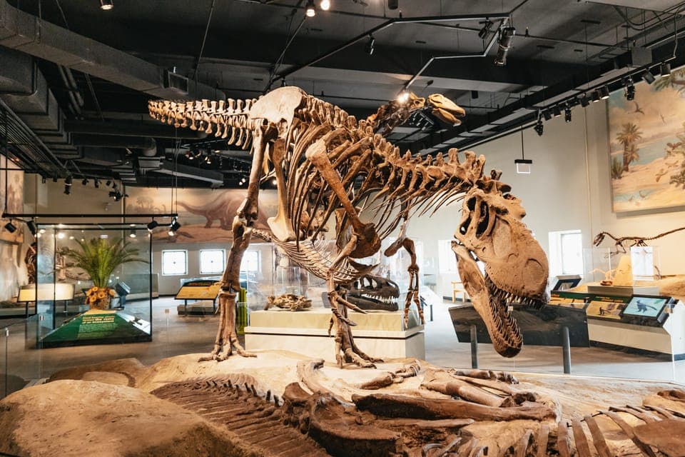 Field Museum of Natural History Ticket or VIP Tour Gallery Image 4