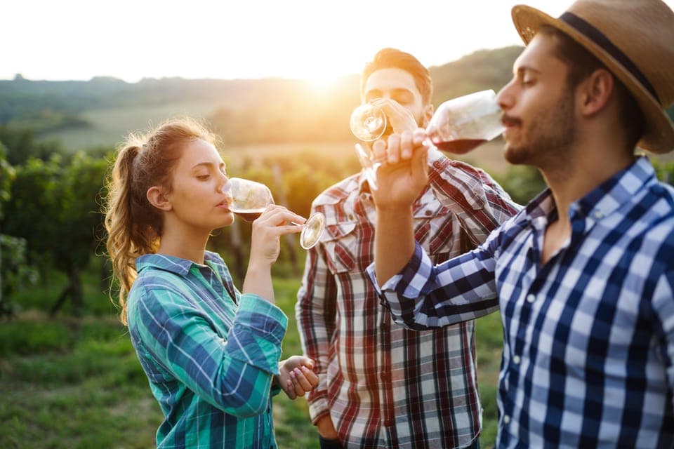 Amador County Wine Tasting Digital Passport Gallery Image 2