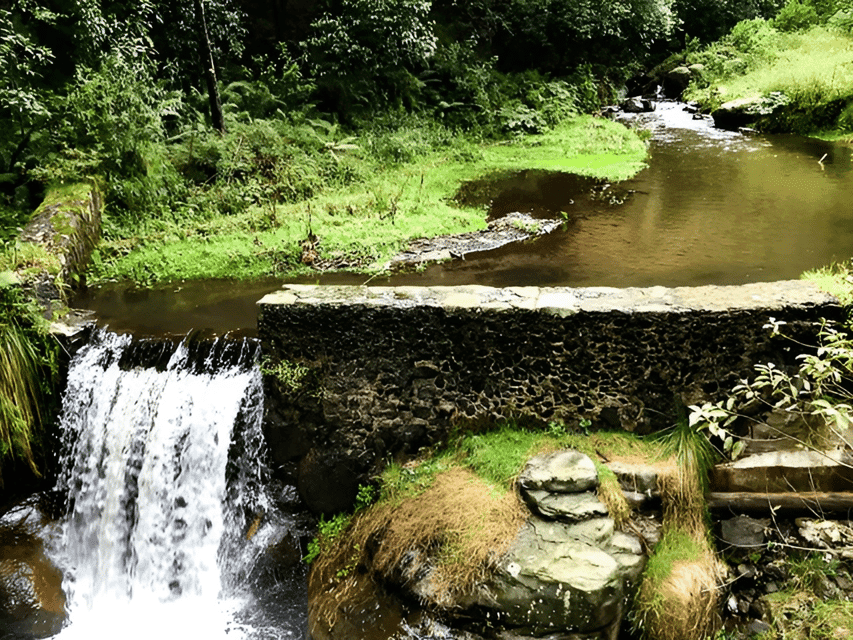 Desierto de los Leones Hike & Ex-Convent Tour Gallery Image 4