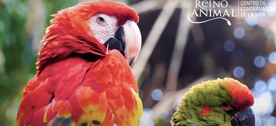 Teotihuacan: Entrance to Animal Kingdom Park; Adventure & Nature Gallery Image 2